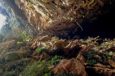 Flisvos w jaskini  Megali Grava koło Loutses na wyspie Korfu  