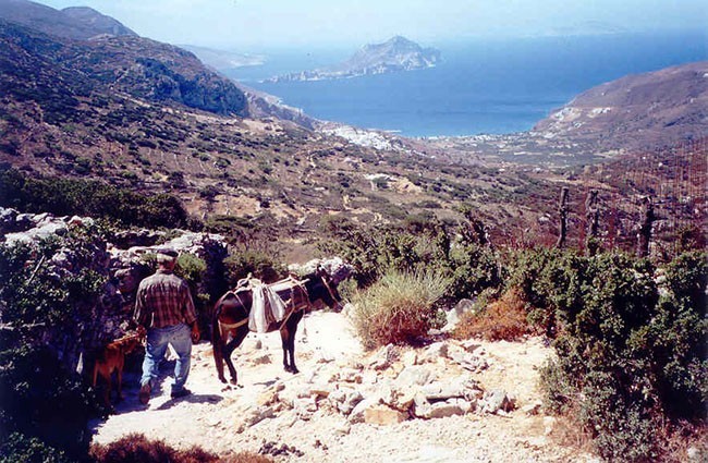 Górską ścieżką zmierzam z wioski Langada do Monastyru Agios Theologos. Po drodze spotykam tylko osły i całą masę kóz.