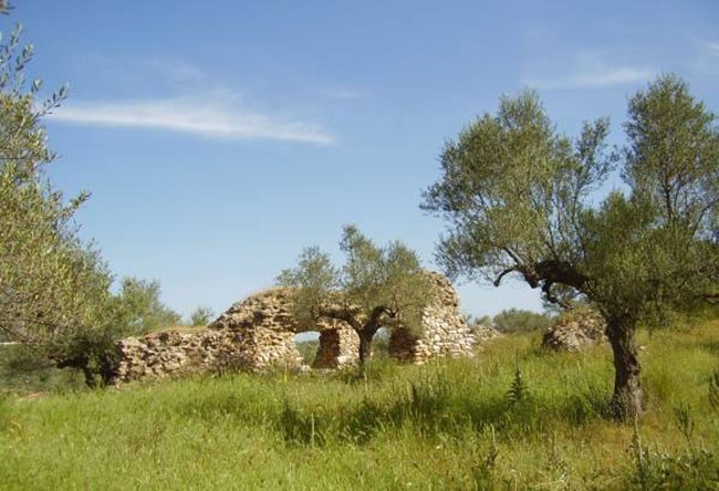 Starożytna Sparta: to duży teren porośnięty drzewkami oliwkowymi a wśród nich tu i ówdzie jakieś pozostałości