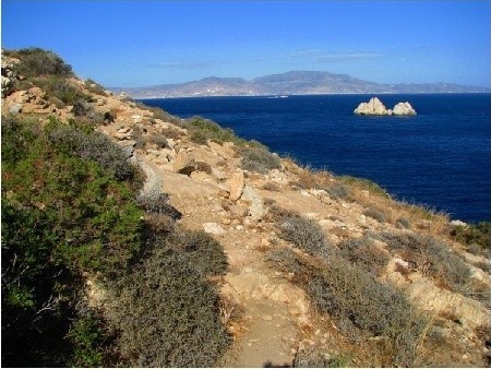Ścieżką dla kóz postanawiam wrócić z Agios Georgios do portu 