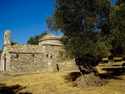 Wyspa Naxos - kościółek bizantyjski ukryty w gaju oliwnym
