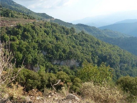Ta część Peloponezu porośnięta jest niesamowitą ilością zieleni